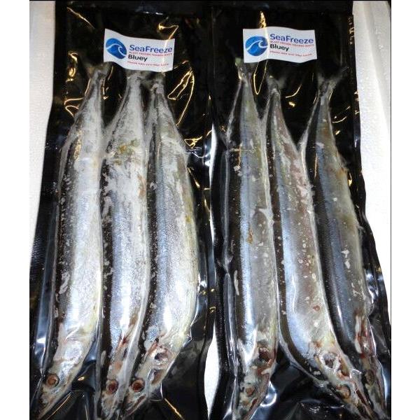 Online Baits Pike Predator Sea Fishing Frozen Bait Deadbait - Blueys Large 3's