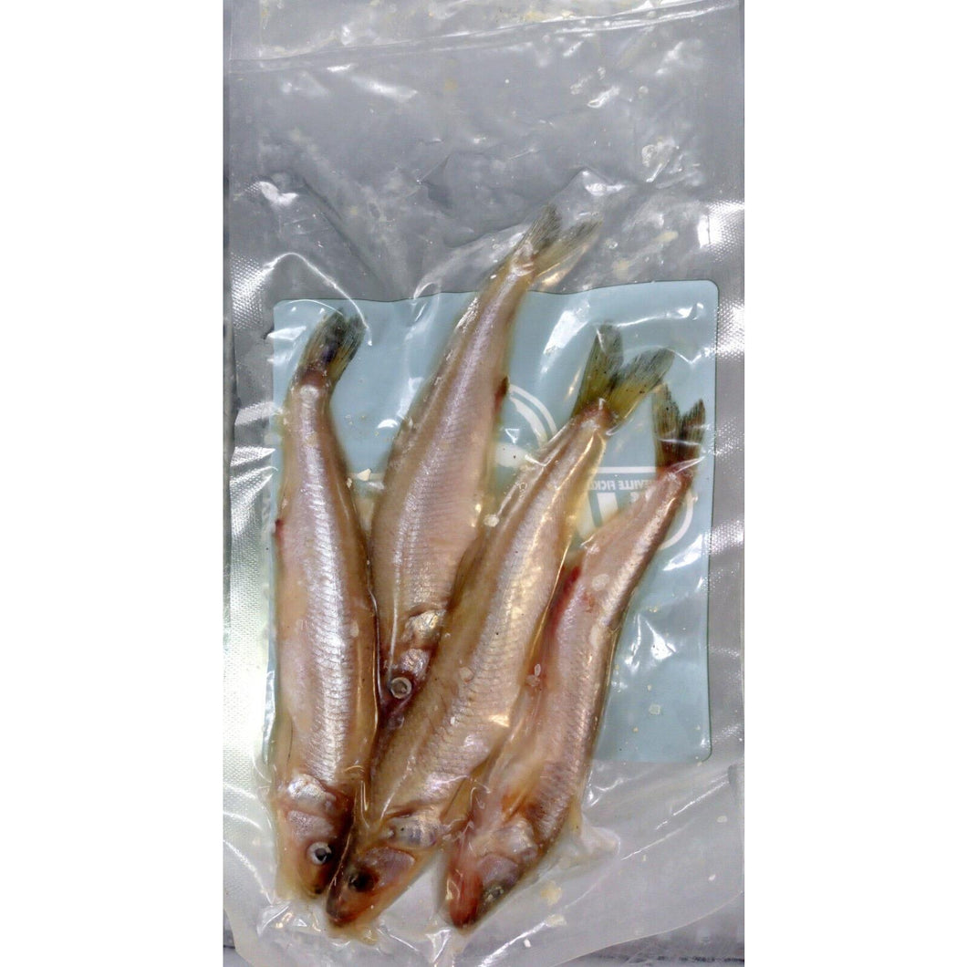 Lucebaits Pike Predator Sea Fishing Frozen Bait Deadbait SMELT 3-4 SMALL PACK