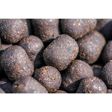 Load image into Gallery viewer, Mainline Big River Barbel Dumbell Hookbaits Hookers Specimen Fishing Bait