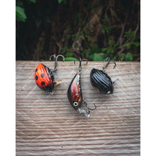 Load image into Gallery viewer, Salmo Chub Pack Fishing Lure Multi-pack 3 x Chub Lures Predator Fishing QMP012
