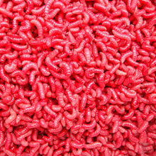 Load image into Gallery viewer, Maggots (Live or Frozen)