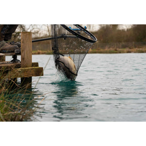 Preston 24" 60cm Carp XS Landing Net Latex Mesh Fishing Net Head P0140052