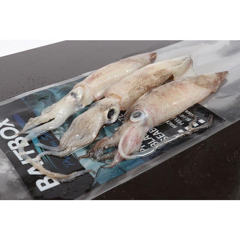 Online Baits Pike Predator Sea Fishing Frozen Bait Deadbait - DIRTY SQUID 350g