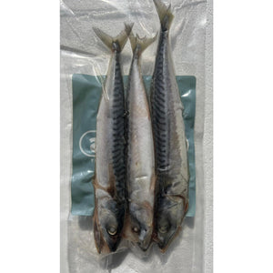 Lucebaits Pike Predator Sea Fishing Frozen Bait Deadbait - MACKEREL SMALL