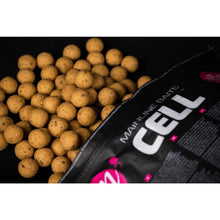 Load image into Gallery viewer, Mainline Shelf Life Boilies Cell 15mm 18mm 1kg Carp Fishing Bait M41001
