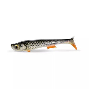 Quantum Tarp Shad 16cm real roach Pike Predator Fishing Lure 3345002