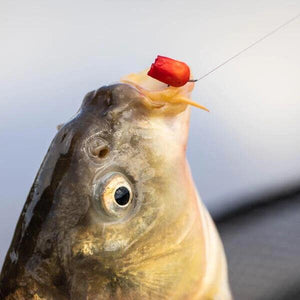 Fjuka Sensate Accelerant Bait Dye Red Yellow Carp Fishing Liquid Attractant 95ml