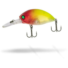 Load image into Gallery viewer, Quantum Fat Minnow DR Crazy Clown Crankbait Chub Pike Perch Fishing Hard Lure
